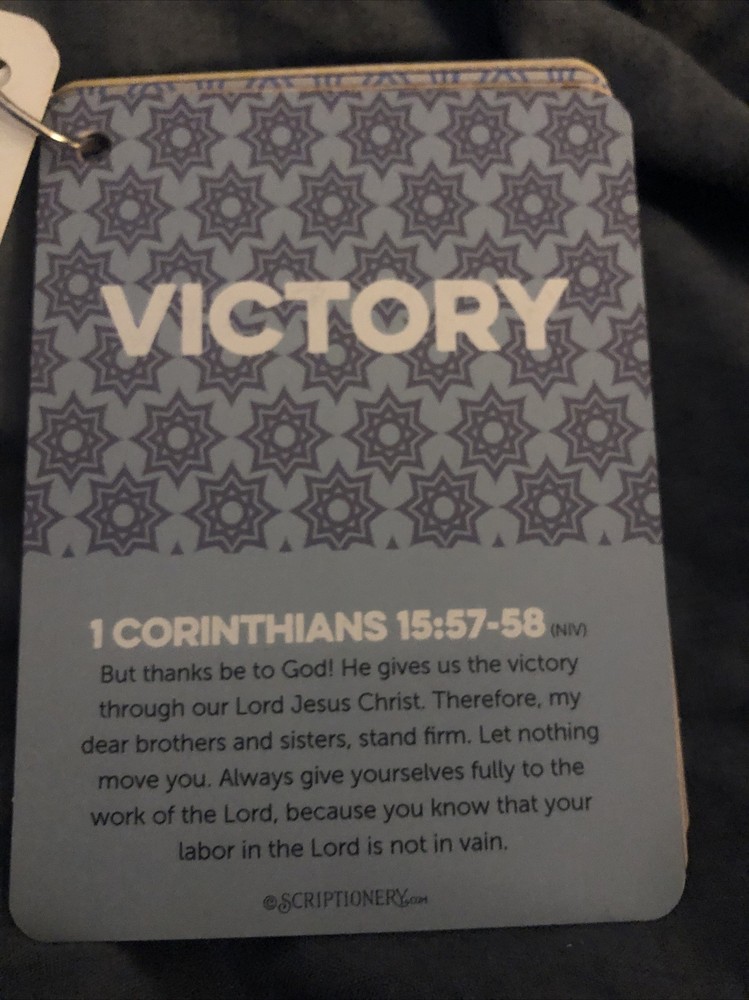 Scriptionery - Go forth Scripture Truths 20 Bible Verses Cards on a ring