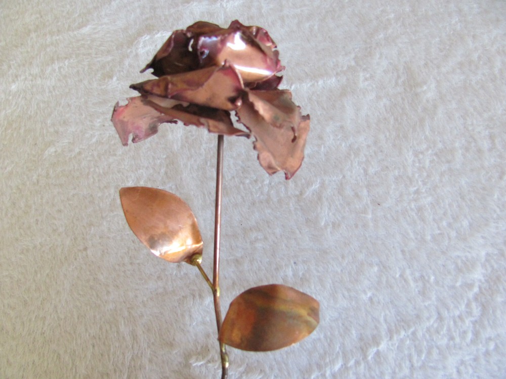 Long Stem Copper Rose(s) Up to 7 Available