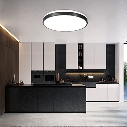 24W LED Flush Mount Ceiling Light with Bluetooth Speaker & Remote Control, RGB C