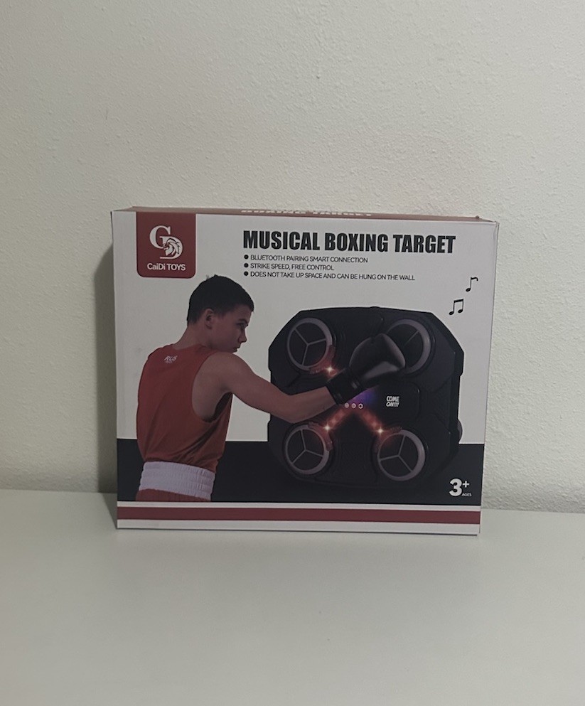 Bluetooth Musical Boxing Target with Lights and Wall Mount