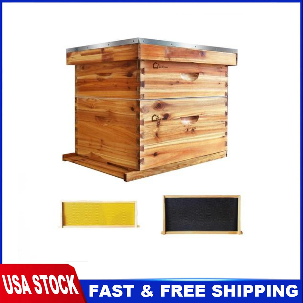 Beehive 20-Frame Langstroth Bee Hive Coated with Beeswax, Beehive Starter Kit