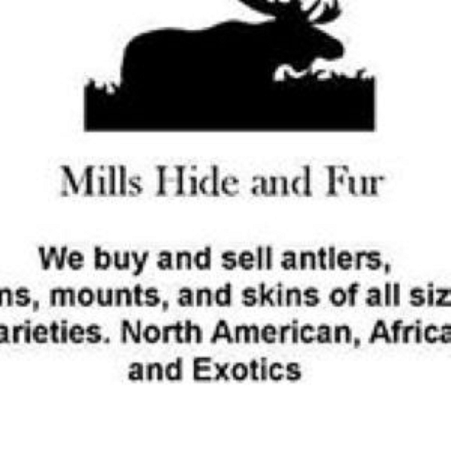 Taxidermy, One Pair 2 EASTERN WILD TURKEY-FEET -Log Cabin,Native American Crafts