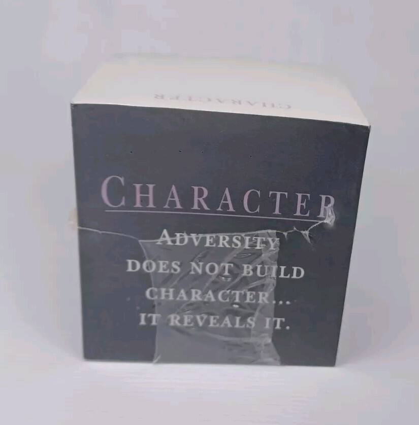 Stik Withit Memo Note Cube Adversity Does Not Build Character ... It Reveals It