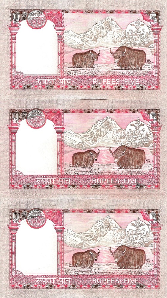 Nepal 3x 5 rupees ND [2003-2005] P-53a UNC consecutive