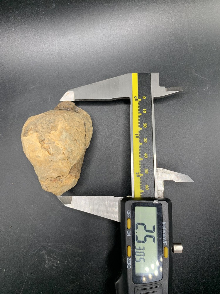 Trilobite Nodule (Flexicalymene)