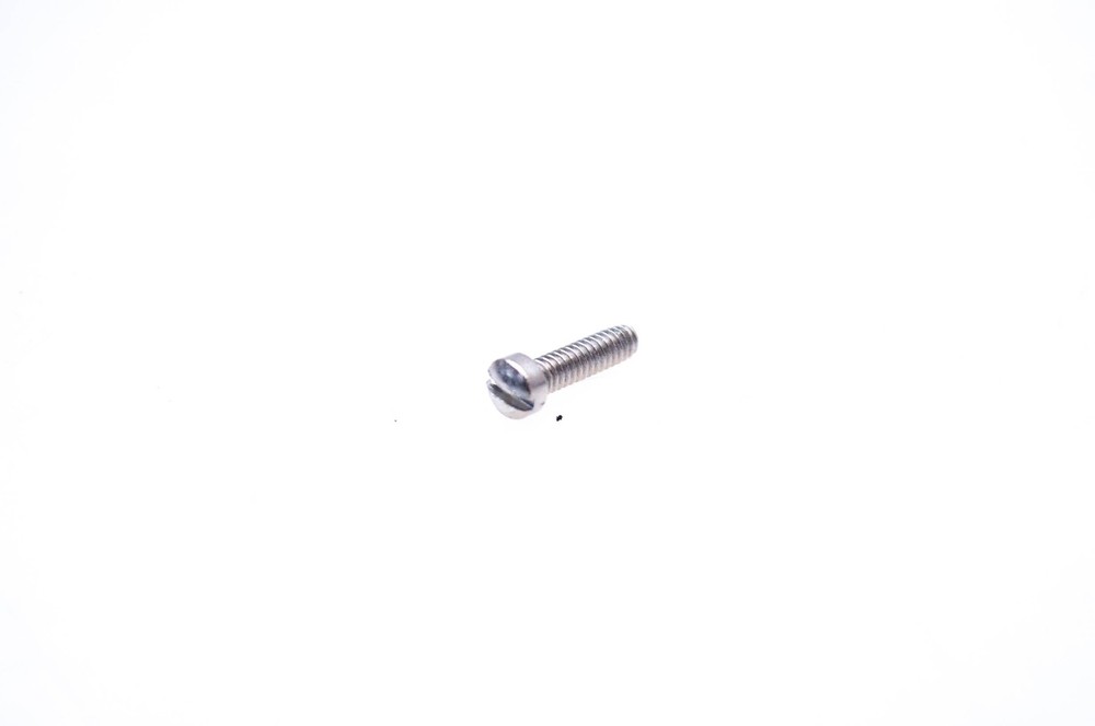 OMC 329054 Screw NOS