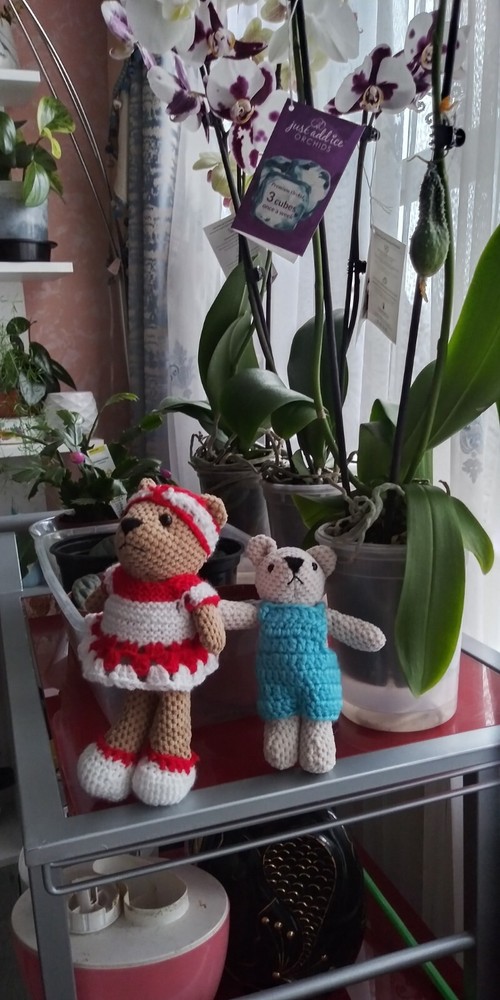 Knit Customs