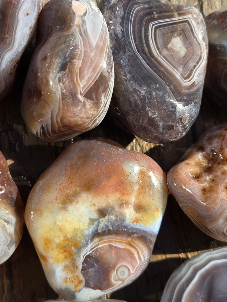Botswana Agate Selects - SETTING SUN - Rough, Natural, Not Polished A+ Grade