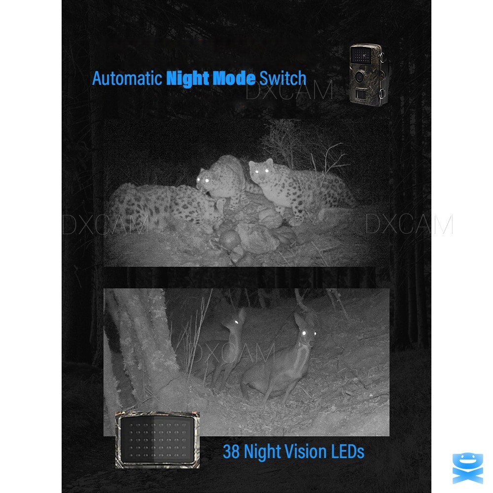 Wildlife Hunting Trail Camera Full HD 1080P Night Vision Motion Waterproof Cam