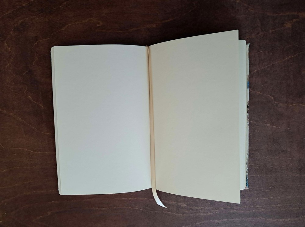 Painted Feather Blank Journal