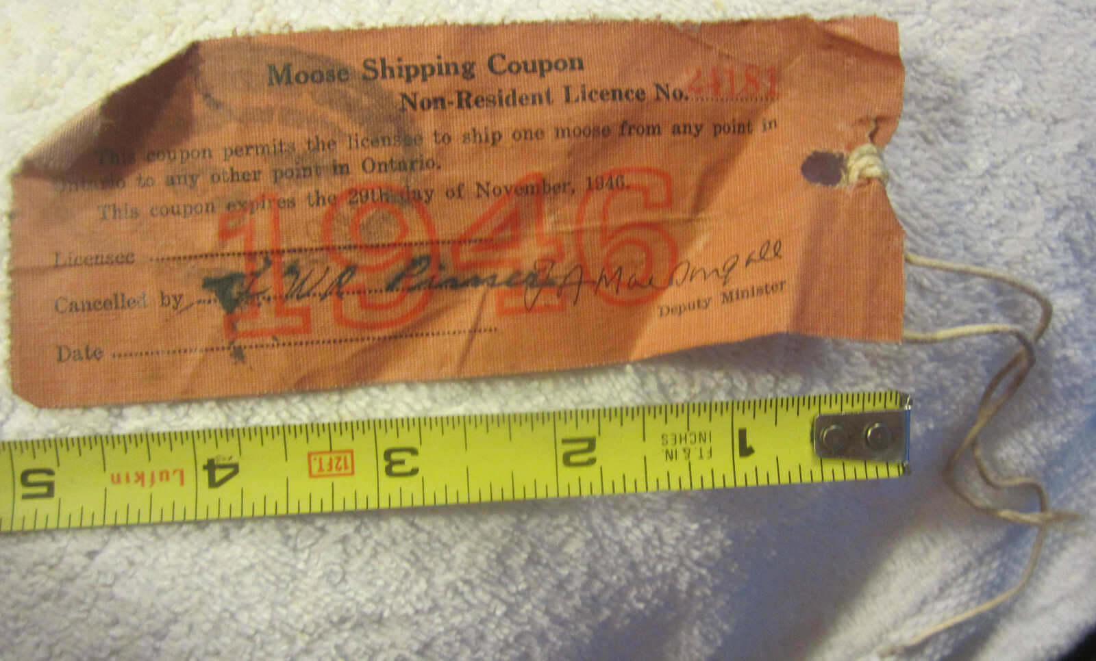 1946 Ontario Canada non resident hunting moose shipping ,license,Vintage rare