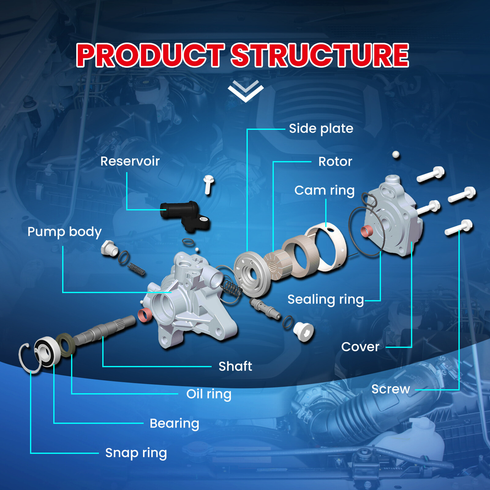 Power Steering Pump for 00-06 BMW 323i 325i 328Ci 330i 330Ci 2.5L 2.8L 3.0L