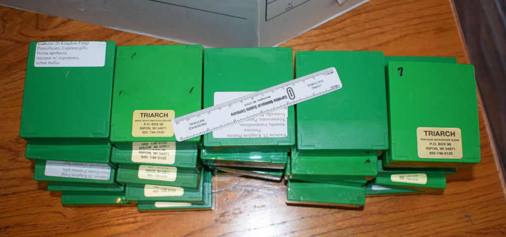 28 green plastic microscope slide boxes