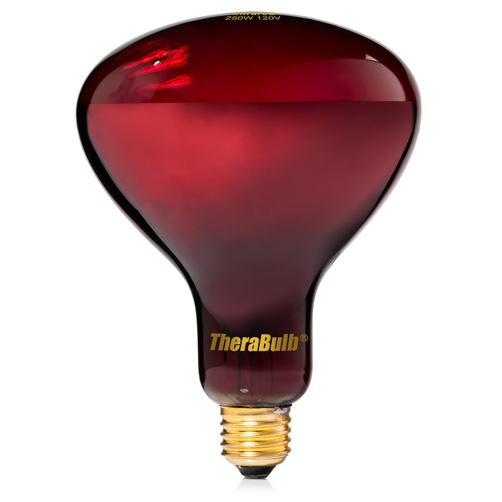 TheraBulb Near Infrared Bulb - 250W/120V - Sold by Manufacturer