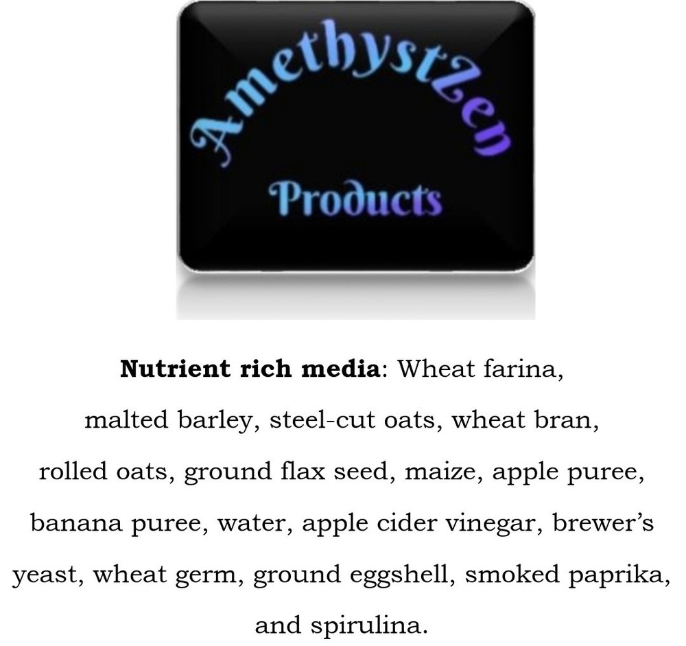 Fly Media Food