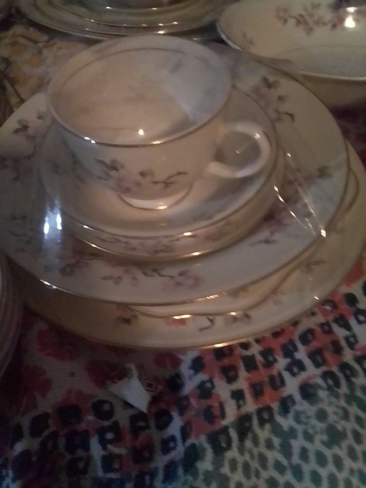 Vintage Eggshell Nautilus