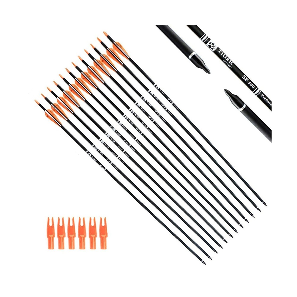 30Inch Carbon Arrow Practice Hunting Arrows with Removable Tips for Compound ...
