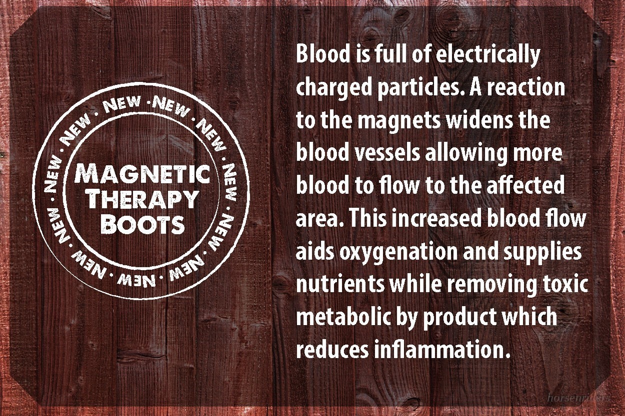 Horse Magnetic Therapy - Hock Boots - Healing Therapy