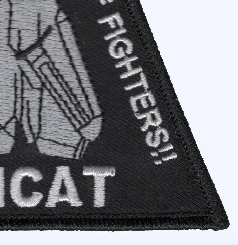 F-14 TOMCAT Airframe Patch