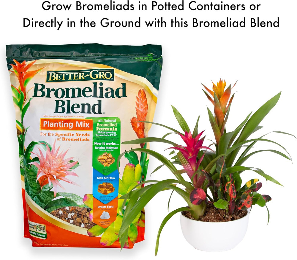 Bromeliad Blend 8 Quart