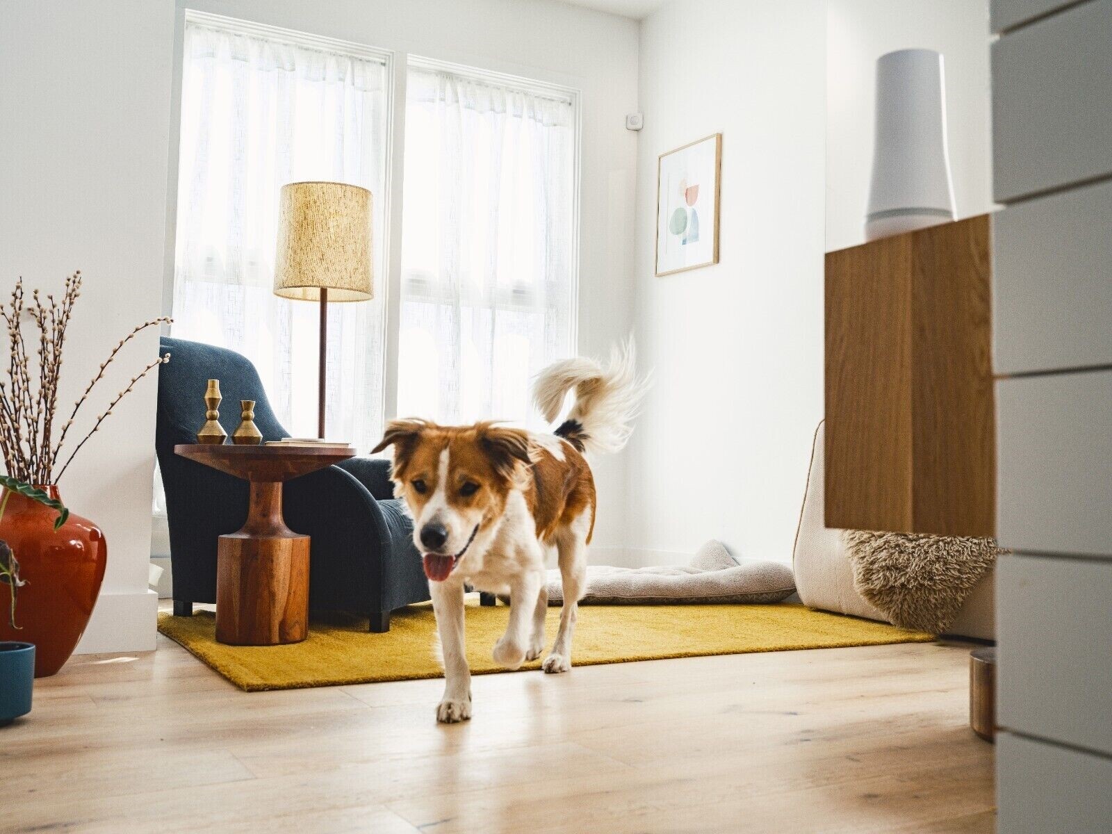 SimpliSafe 6 Piece Wireless Home Security System - White