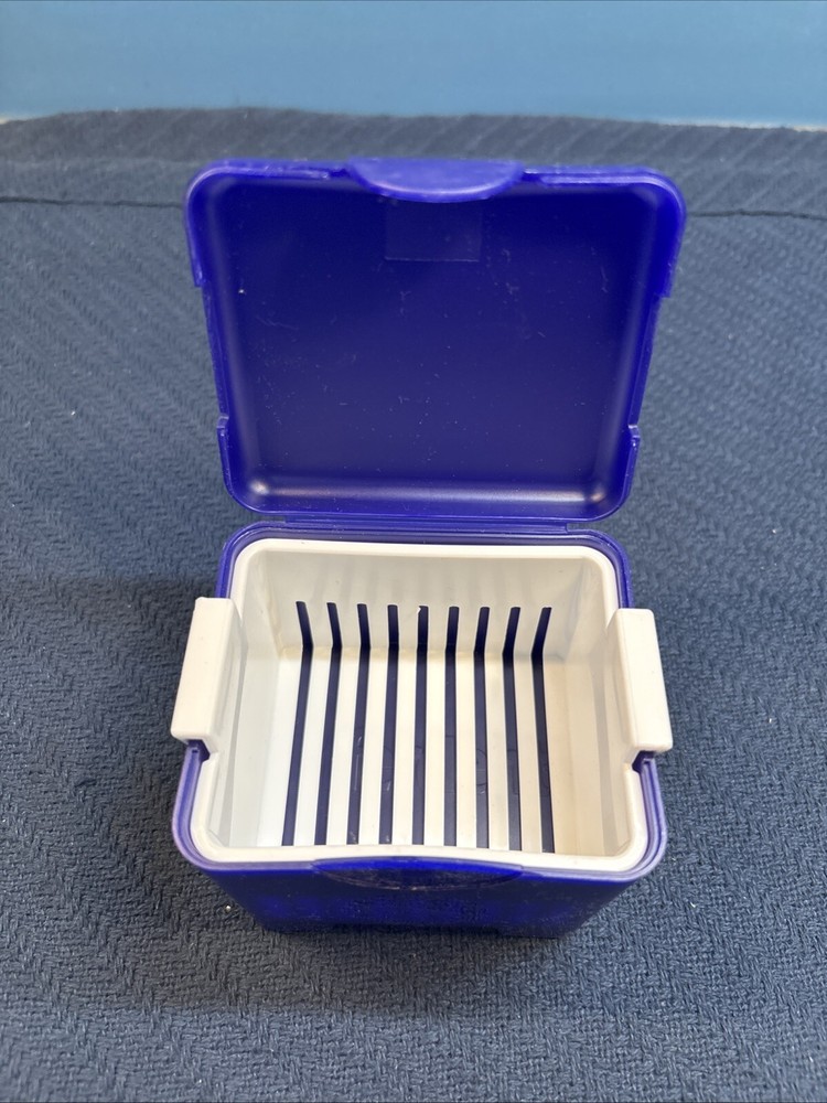 Efferdent Case Denture Cleaning Case Denture Bath With Drain Tray