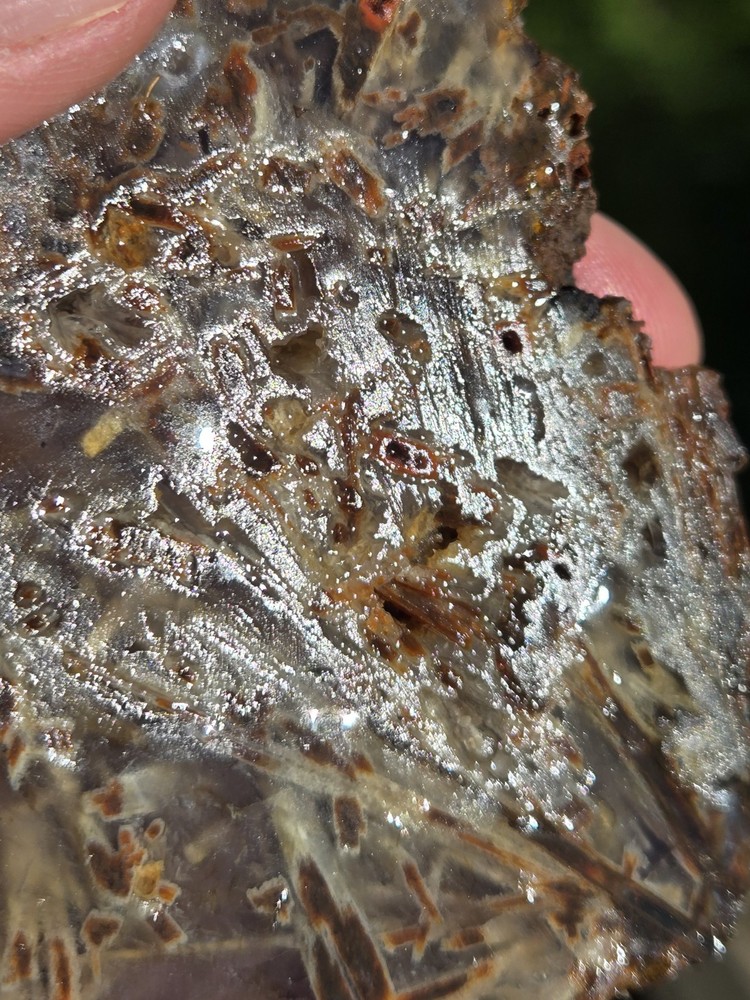 Turkish Agate Slabs Slices From One Stone Matching Lapidary Unique Stick