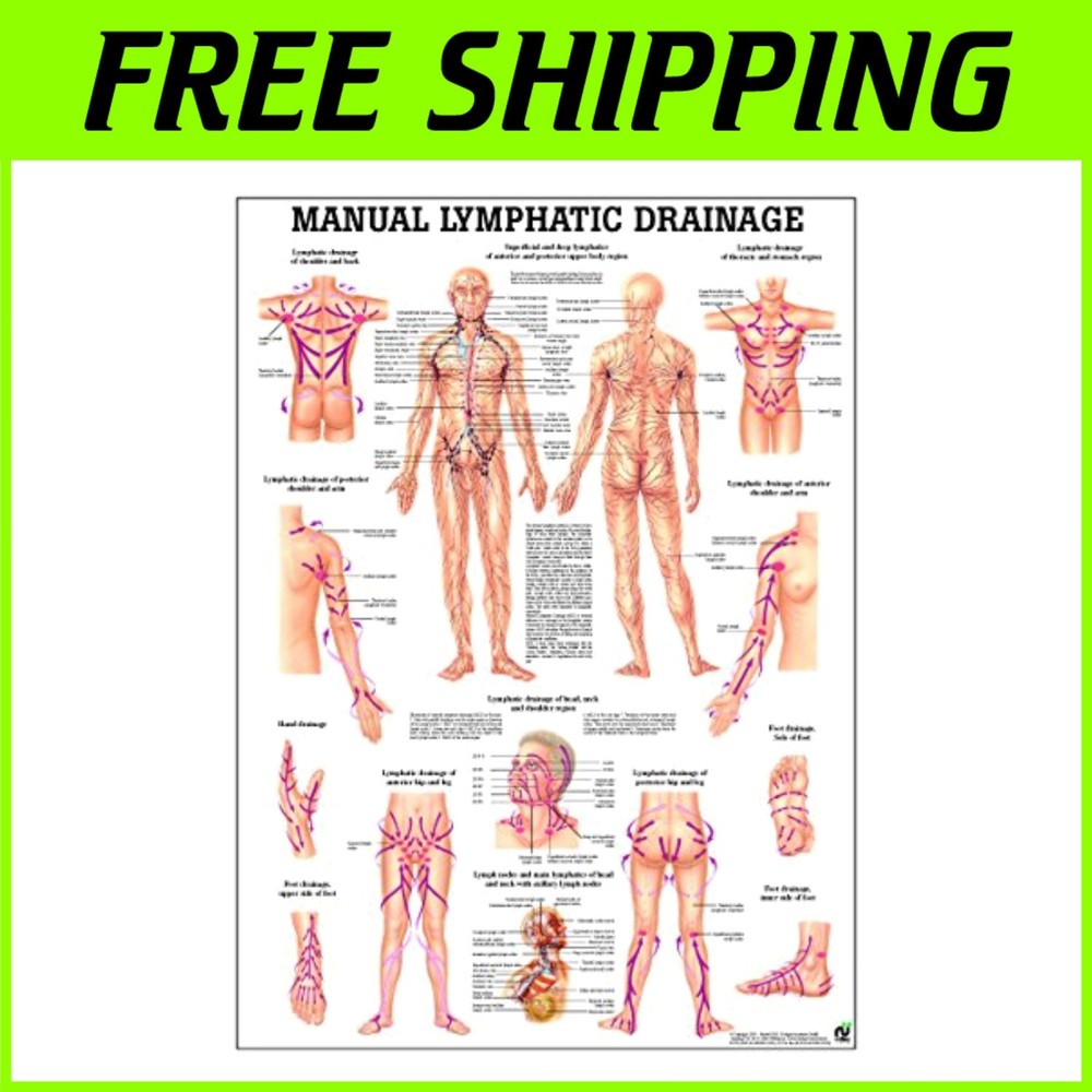 Professional Lymphatic Drainage Chart-*