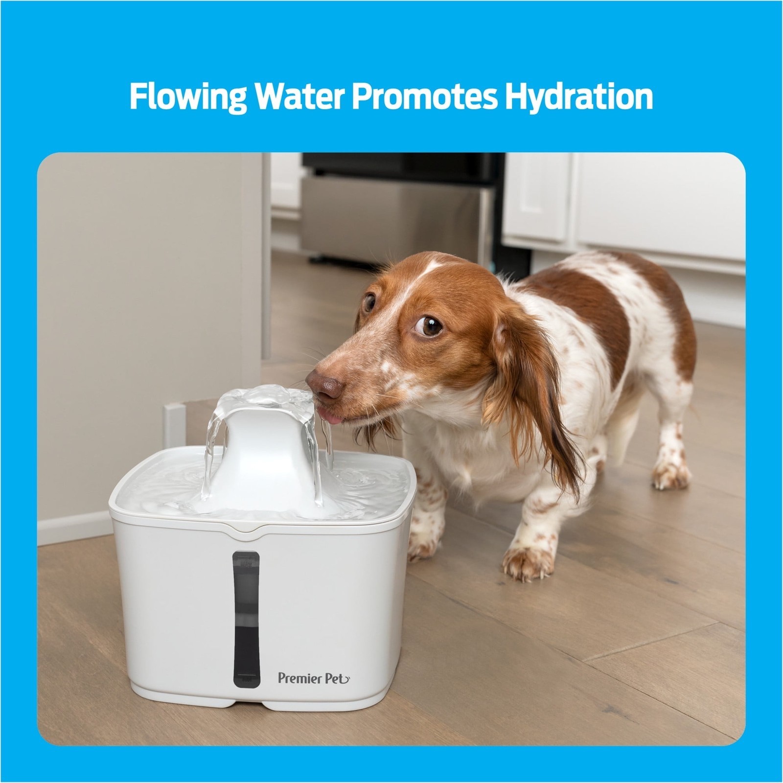 Premier Pet Automatic Water Fountain System + Filters For Cat & Dog - 60-128 oz