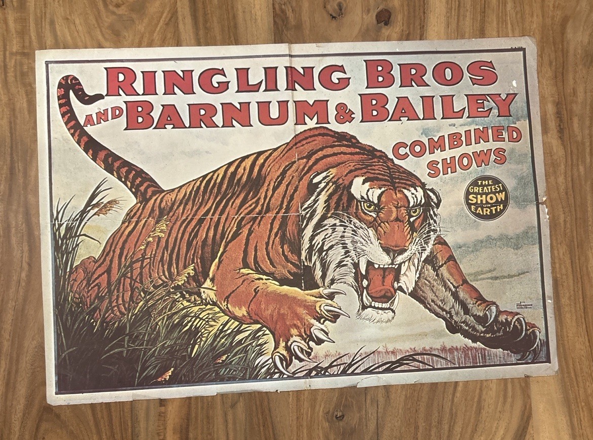 Vintage Ringling Bros Barnum Bailey Tiger Poster Authorized Issue 24x17