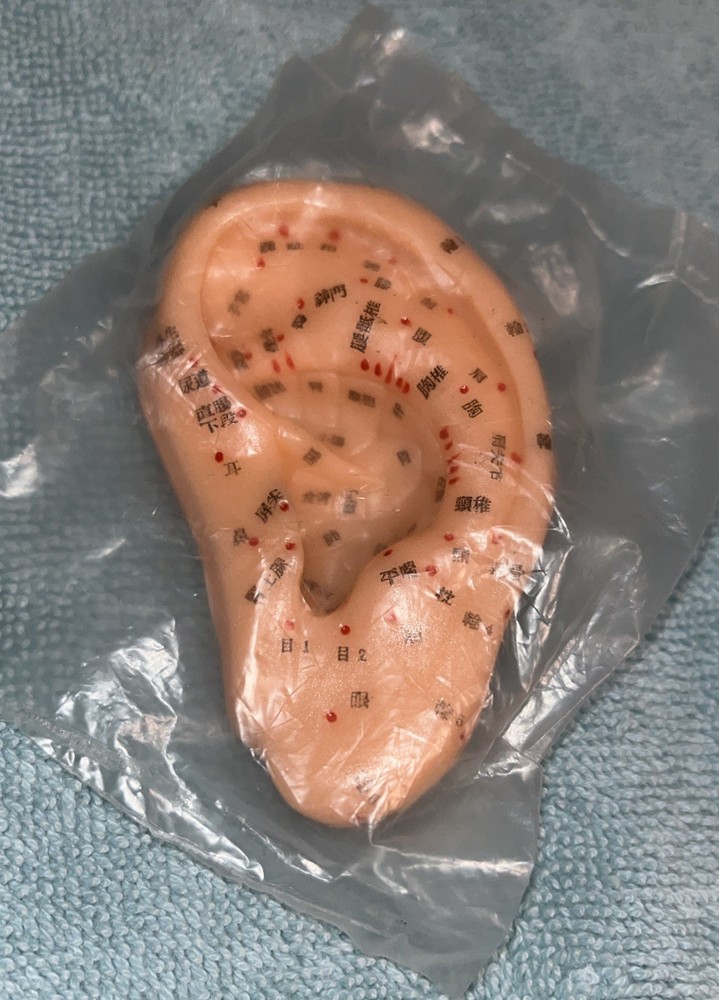 Acupuncture Left Ear Accupoint Model Replica Learning Simulation Lot/2 Unopened