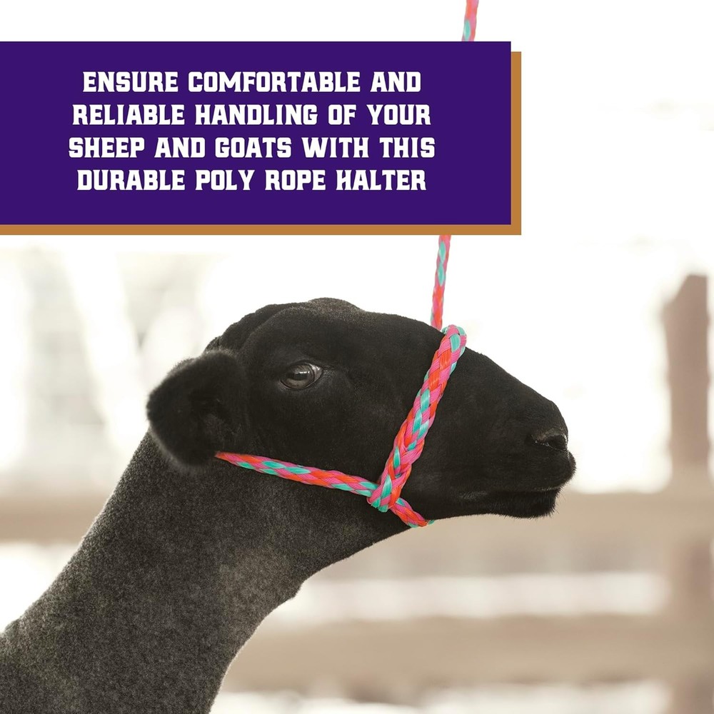 Weaver 4ft Poly Rope Halter Braided Adjustable Sheep Goat