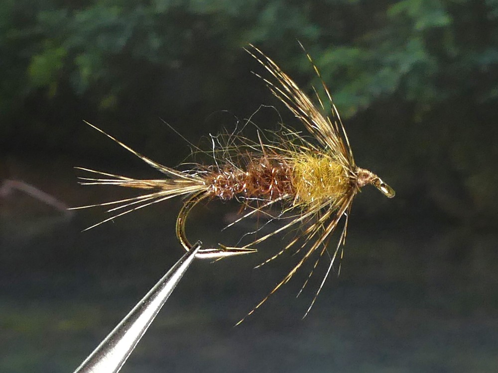 6 Flies -Hendrickson Contrast Emerger