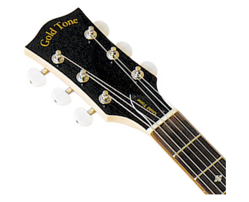 Gold Tone 6-String Banjitar - Open Box