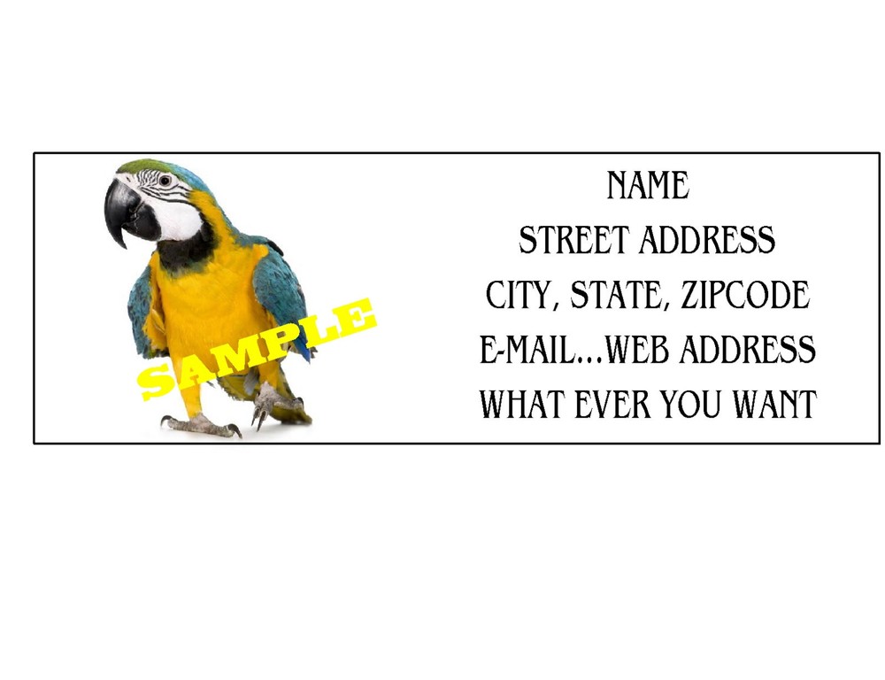 MACAW ADDRESS LABELS COOL!!! #3