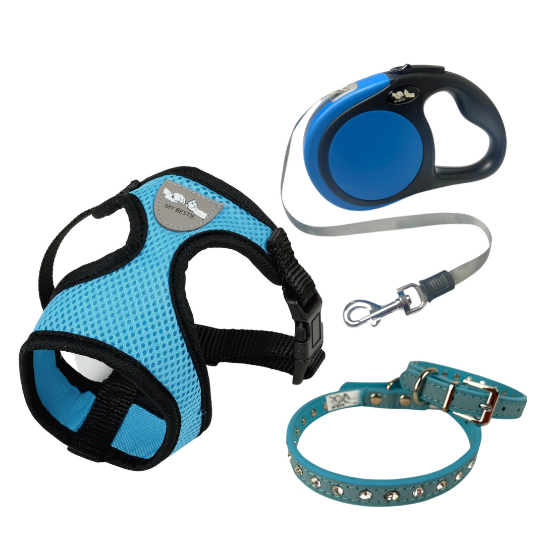 Breathable Harness, Leash & Collar Set (Blue) - XS