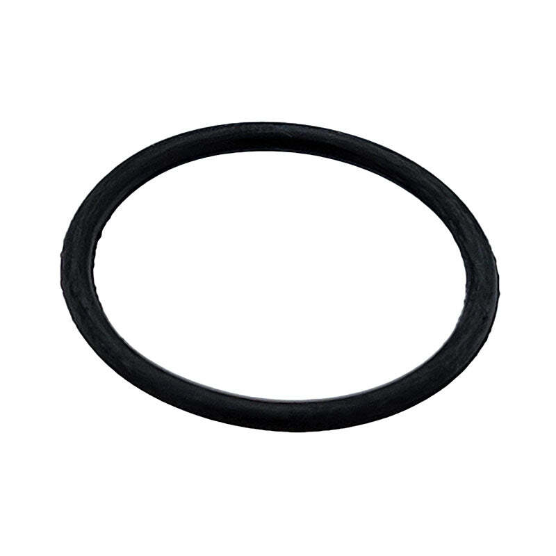Polaris Drain Screw O-Ring, 3130863