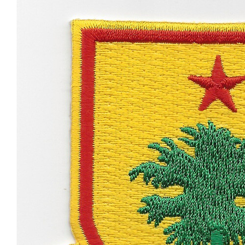 314th Cavalry Regiment Patch