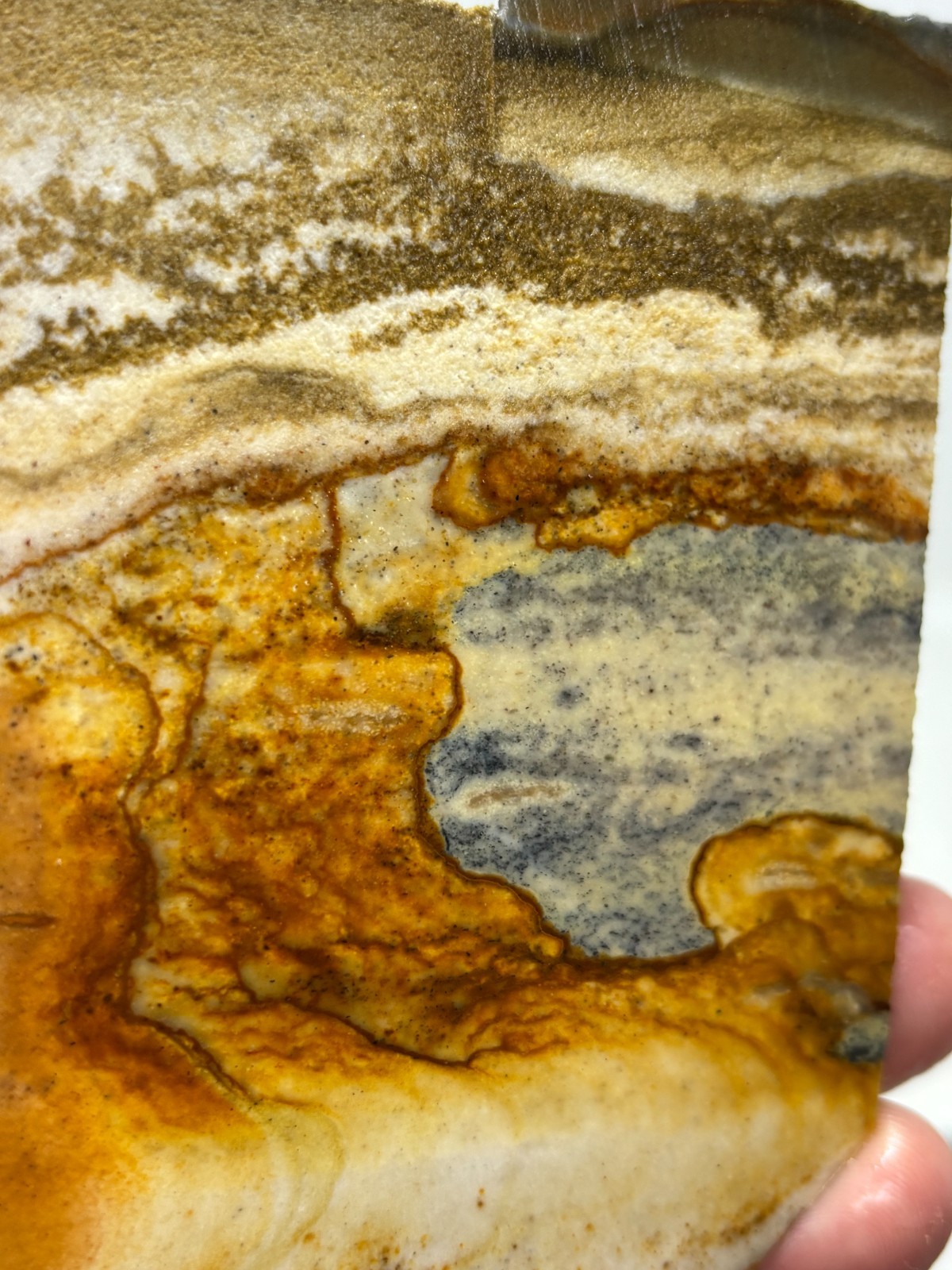 Disaster Peak Picture Jasper Slab Cabbing Lapidary Collecting Combo Ship Avail