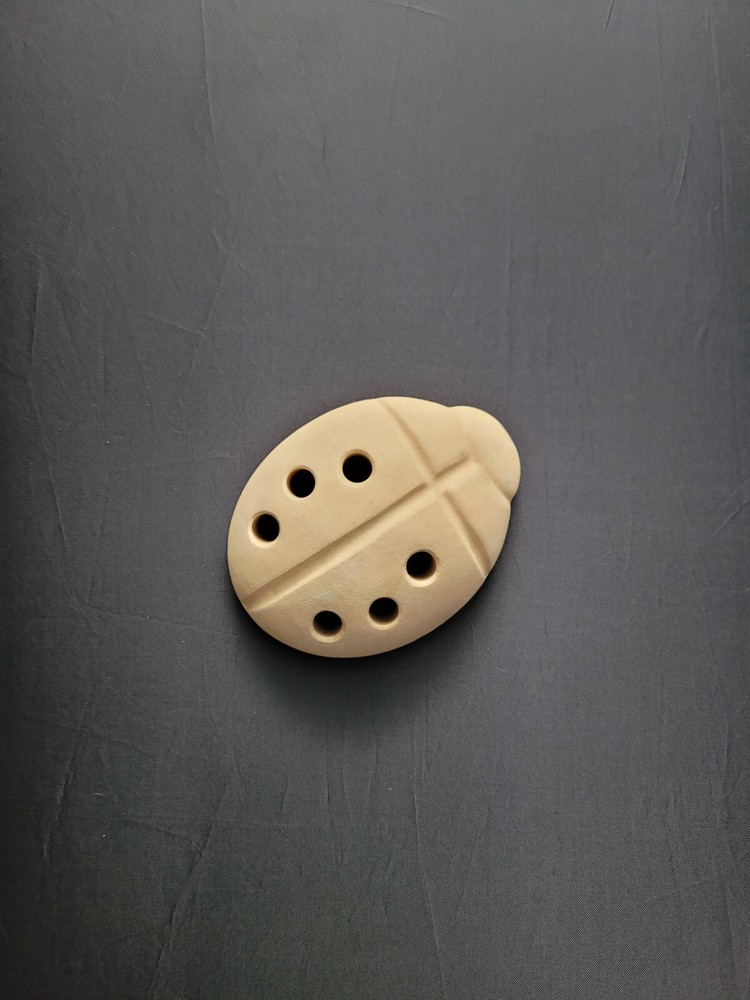 Bioceramic Ladybug Refrigerator/Freezer/Closet Deodorizer