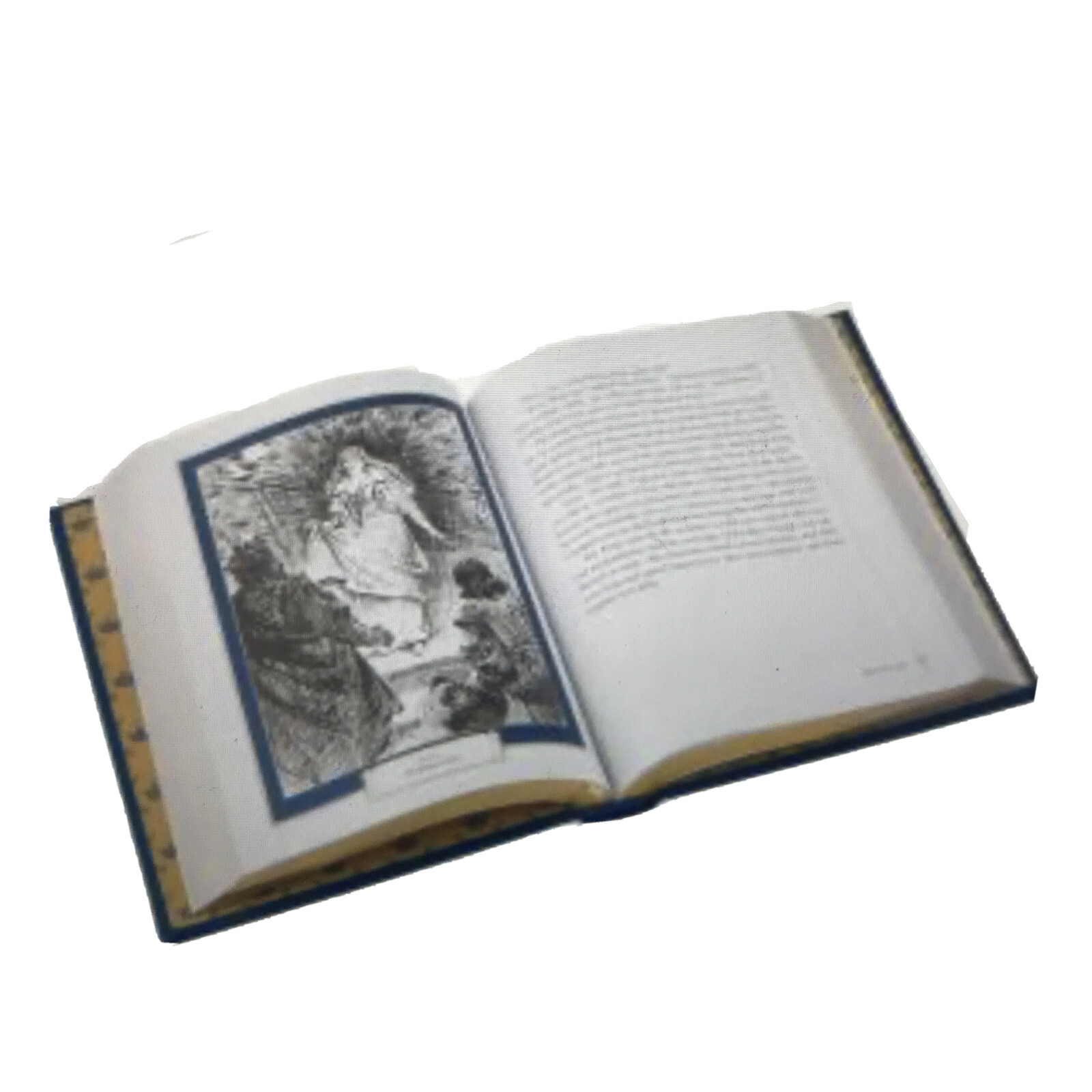 ❤️THE BLUE FAIRY Leather Bound Collectible Edition Book BRAND NEW