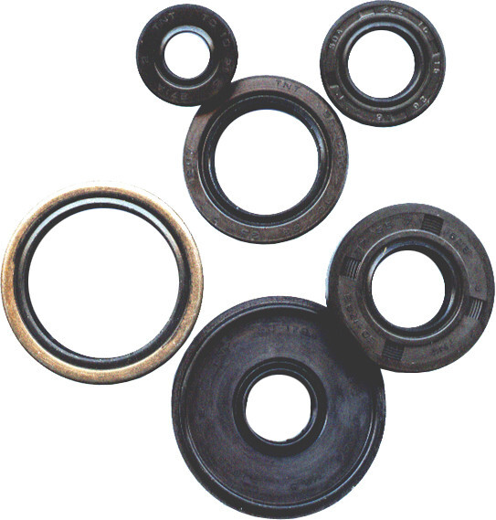 Vertex Oil Seal Kit for Polaris Predator 500 03-07