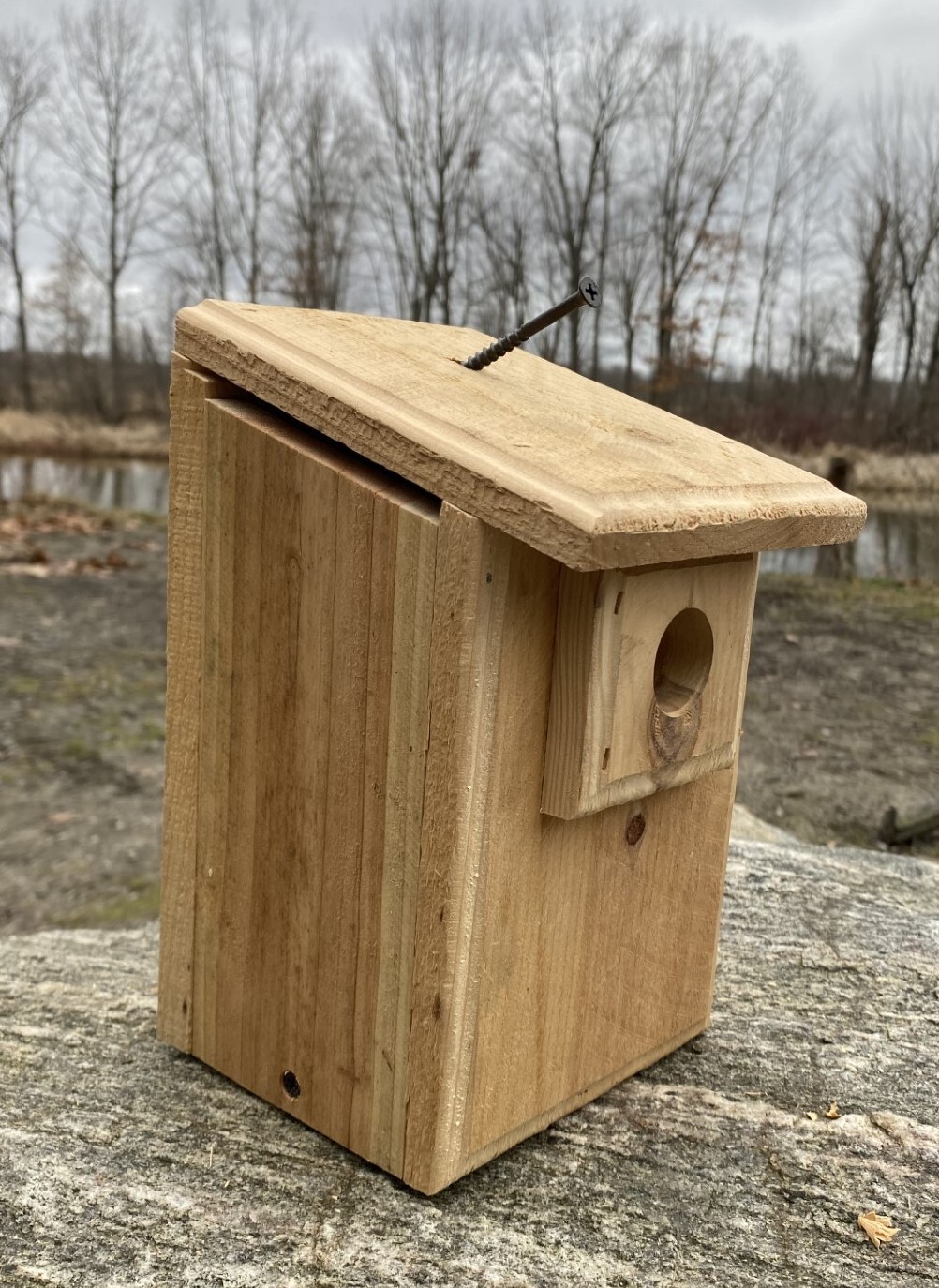 4 Cedar Bird Houses, 2 Wren & 2 Chickadee, or Mix & Match, Natural or Scorched