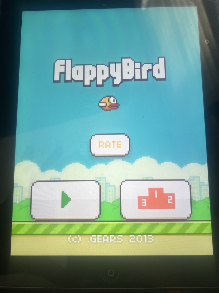 IPAD 16GB Original Flap bird