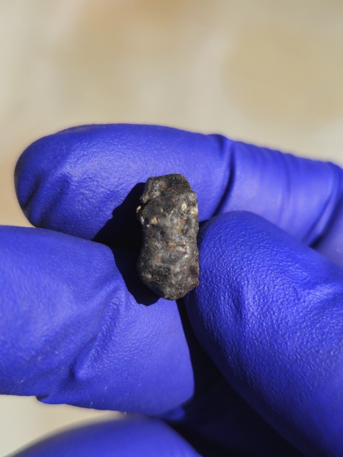 Chelyabinsk Meteorites 2.213g Fresh Crusted Individual COA Russia