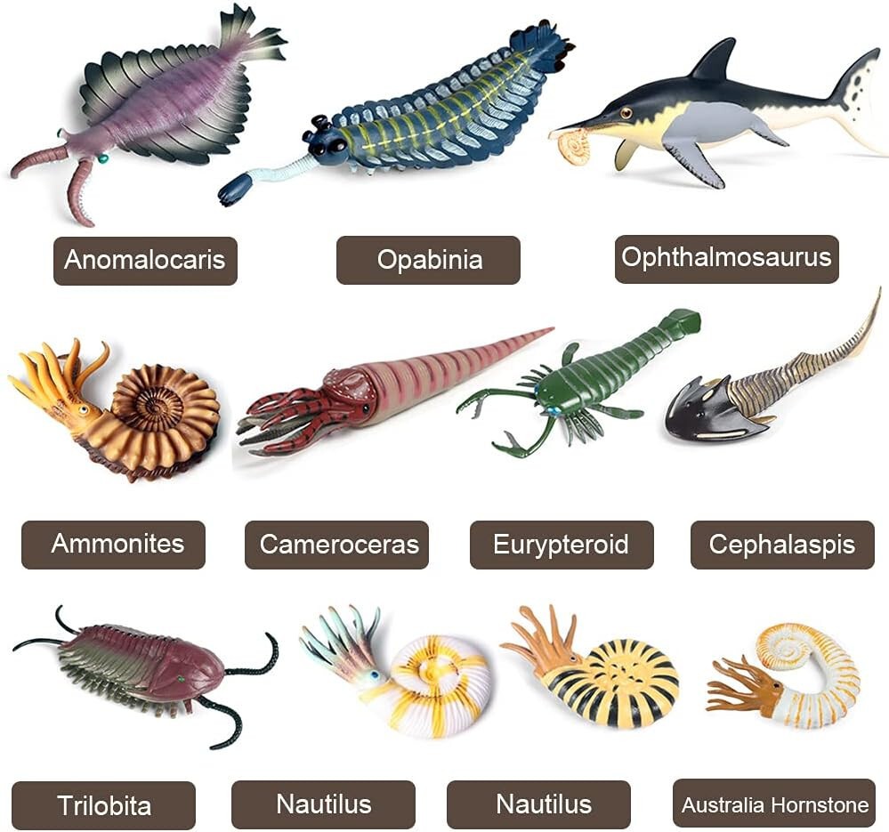 11PCS Prehistoric Sea Creatures Toys, Ancient Cambrian Ocean Animal Figurines