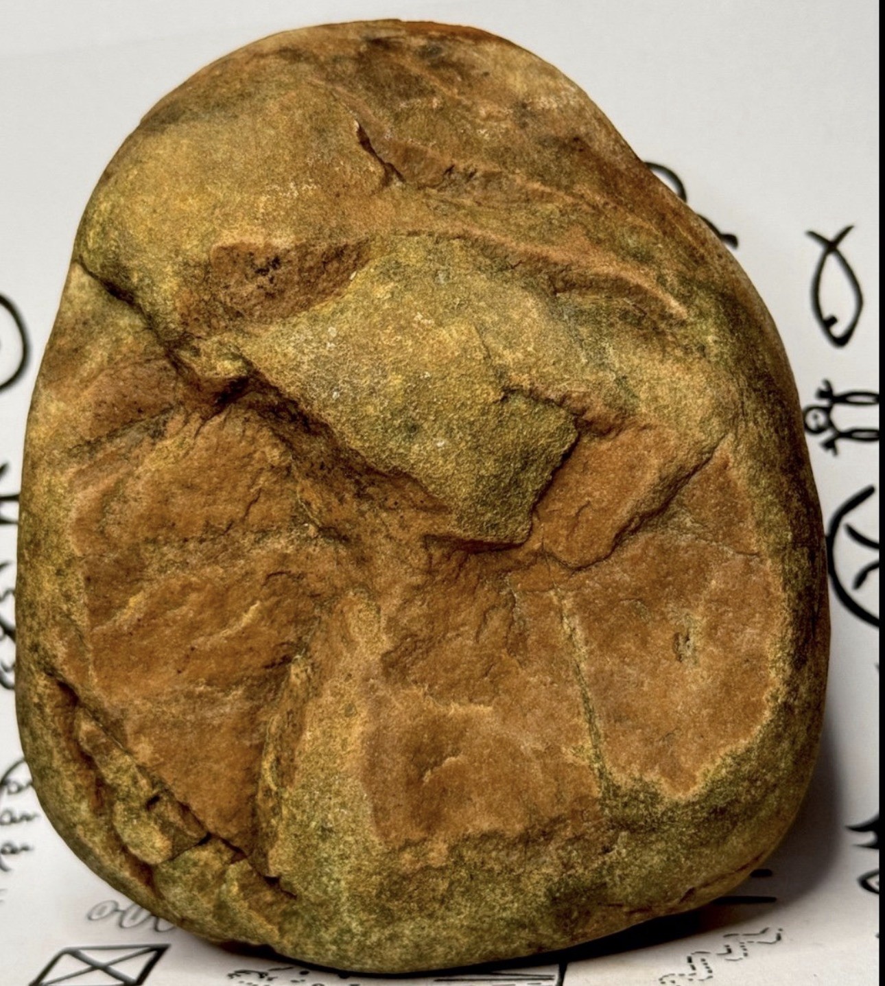 Native American Indian Authentic Artifact Stone Carved Effigy, 3 lb 2 oz • VA