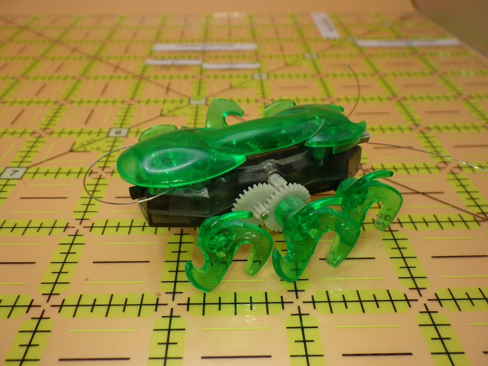 HEXBUG Micro Robotic Spider Green Translucent Crawling Toy - Working