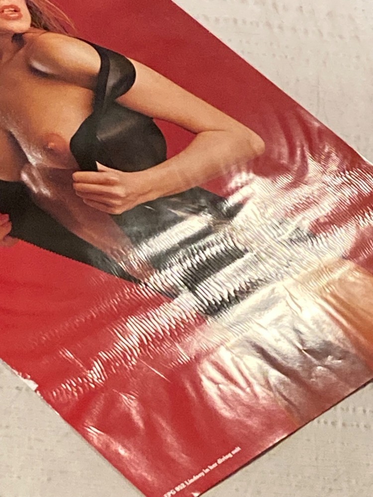 Lindsey In Her Diving Suit Poster Sexy Bare Breasts Wetsuit Girl Pinup Waviness