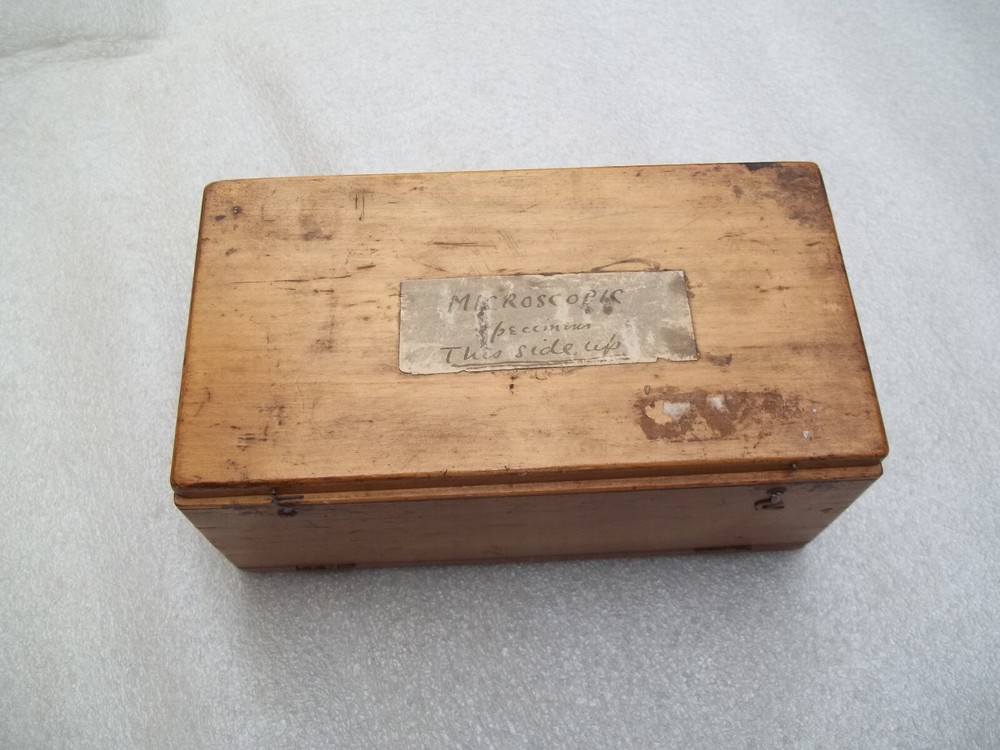 Antique Glass Microscope Slides